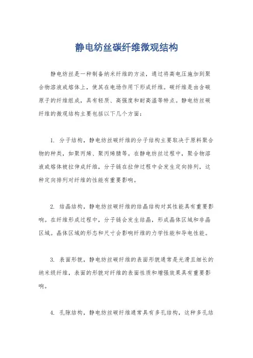 静电纺丝碳纤维微观结构