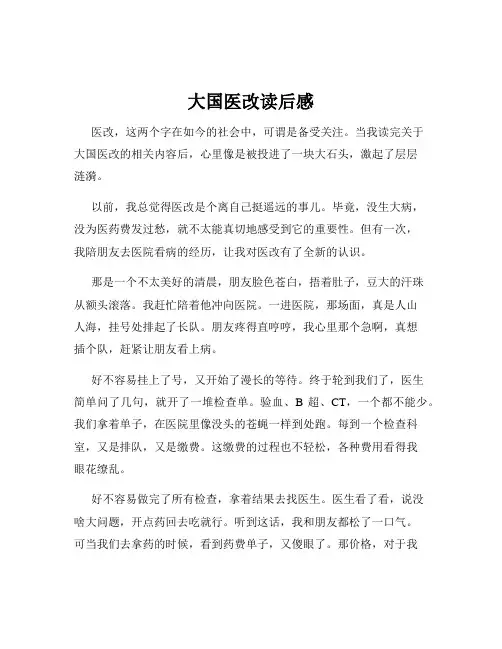 大国医改读后感