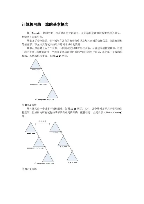 计算机网络  域的基本概念