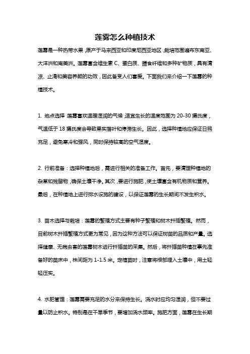 莲雾怎么种植技术