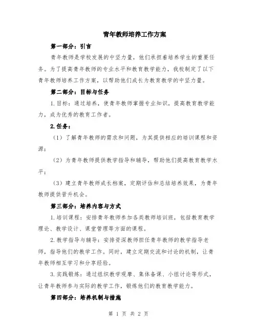 青年教师培养工作方案