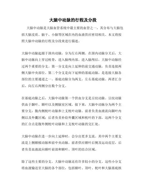大脑中动脉的行程及分段