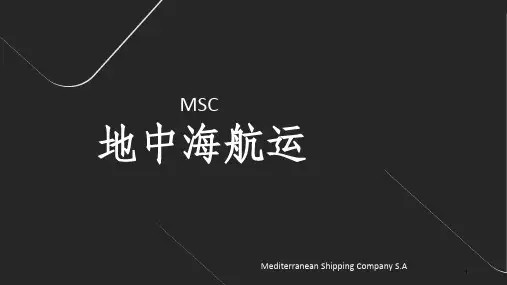 地中海航运公司MSC