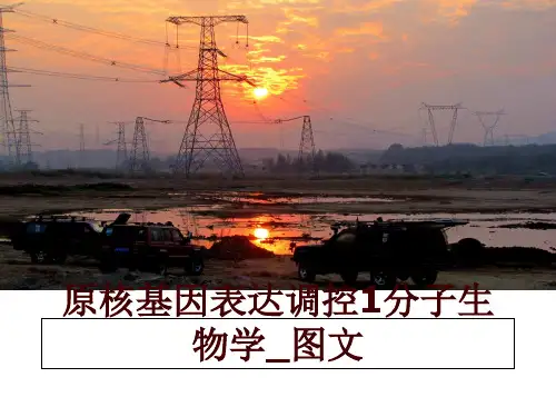 最新原核基因表达调控1分子生物学_图文PPT课件