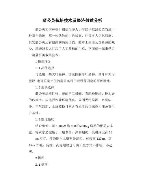 蒲公英栽培技术及经济效益分析