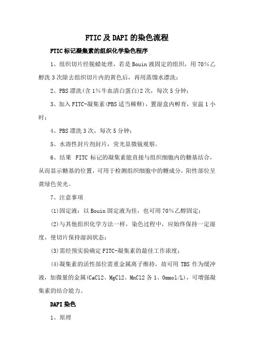 FTIC及DAPI的染色流程