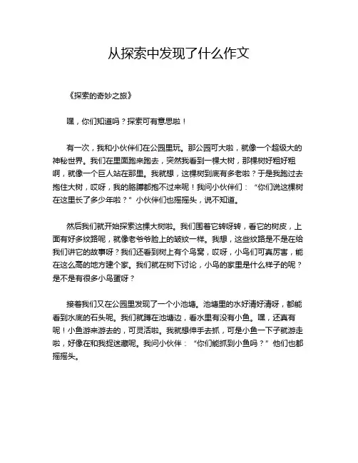 从探索中发现了什么作文
