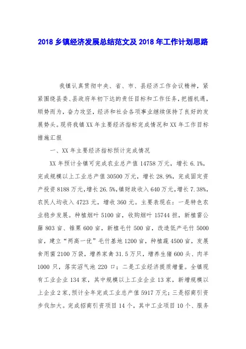 2018乡镇经济发展总结范文及2018年工作计划思路