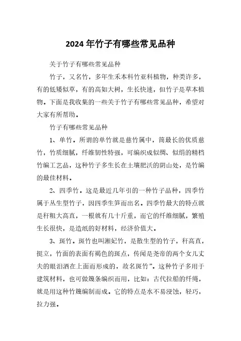 2024年竹子有哪些常见品种