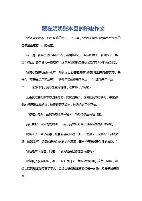 藏在奶奶账本里的秘密作文