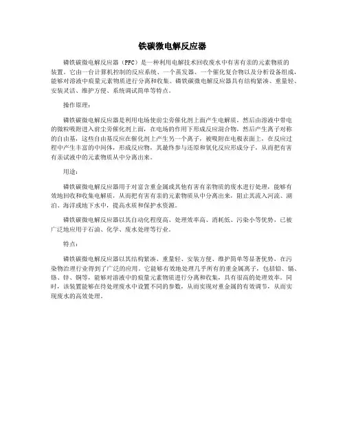铁碳微电解反应器