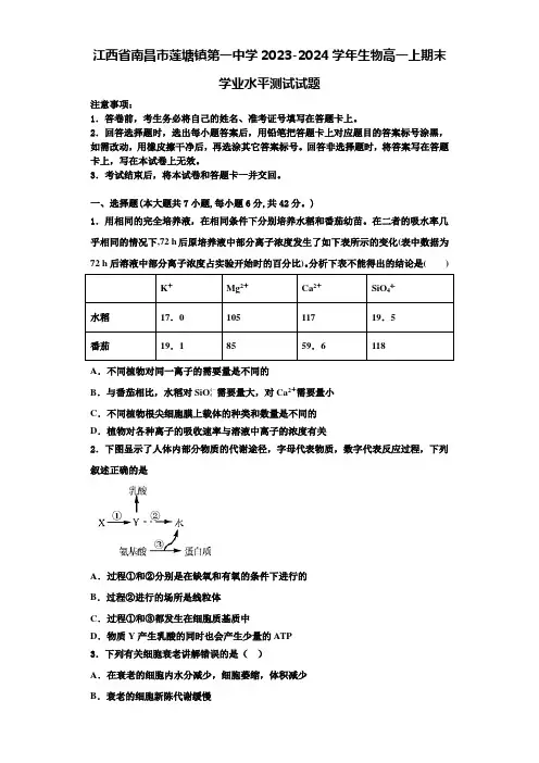 江西省南昌市莲塘镇第一中学2023-2024学年生物高一上期末学业水平测试试题含解析