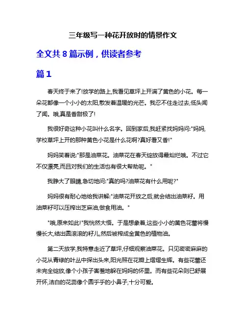 三年级写一种花开放时的情景作文