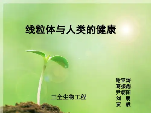 线粒体疾病