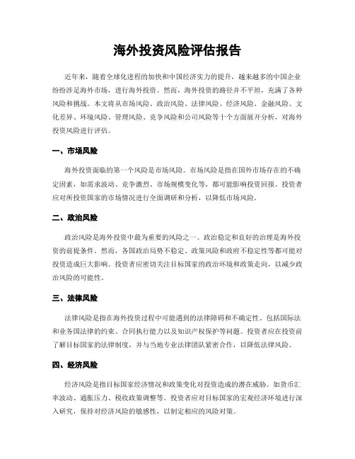 海外投资风险评估报告
