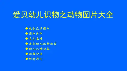 幼儿识物动物图片大全