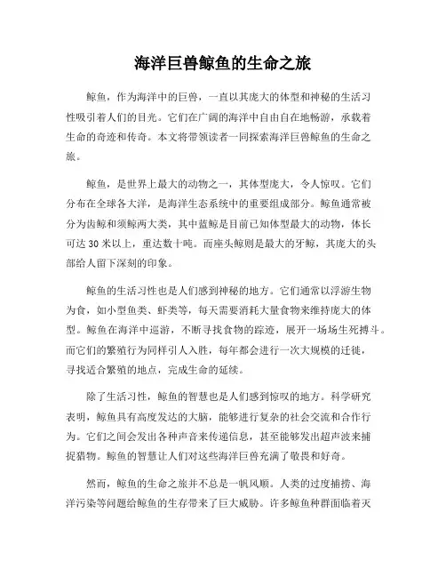 海洋巨兽鲸鱼的生命之旅