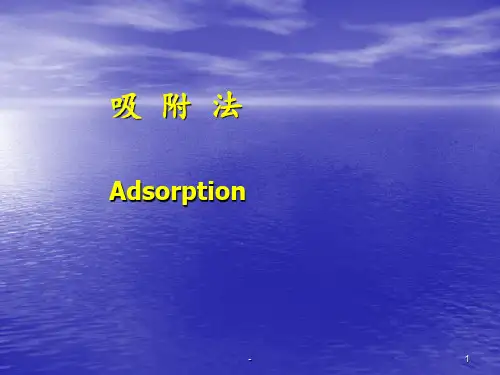 生物分离-4吸附法PPT课件