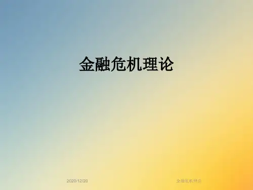 金融危机理论