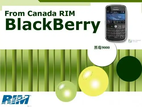 Blackberry手机