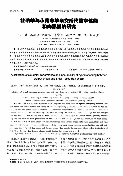 杜泊羊与小尾寒羊杂交后代屠宰性能和肉品质的研究