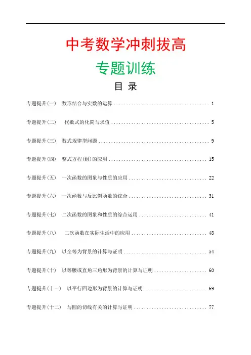 中考初三数学冲刺拔高专题训练含答案