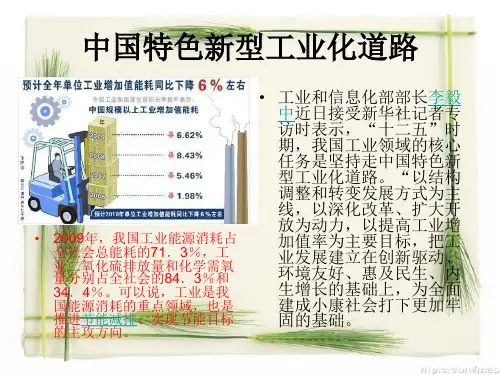 中国特色新型工业化道路