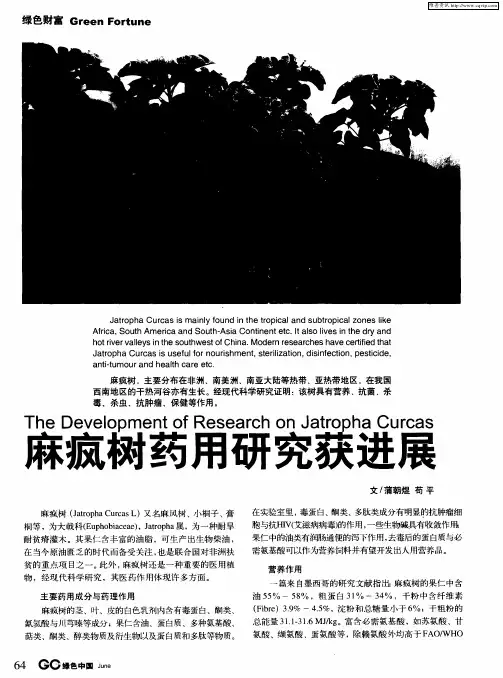 麻疯树药用研究获进展