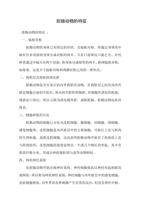 腔肠动物的特征