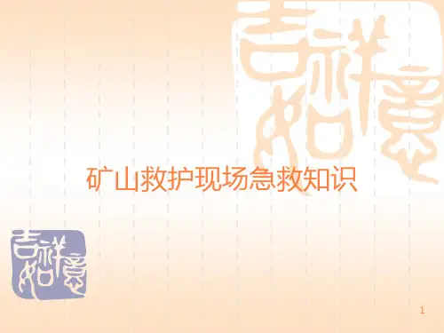 矿山救护现场急救知识ppt课件