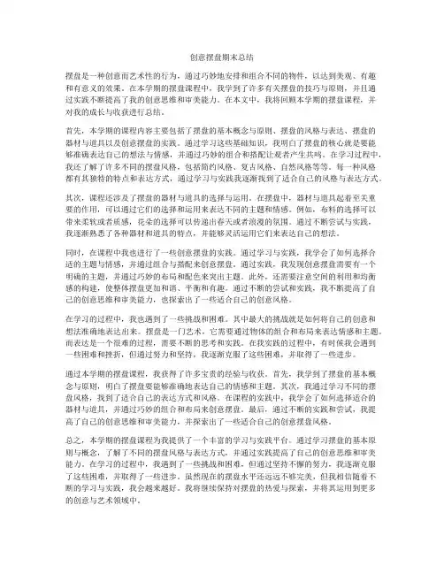 创意摆盘期末总结