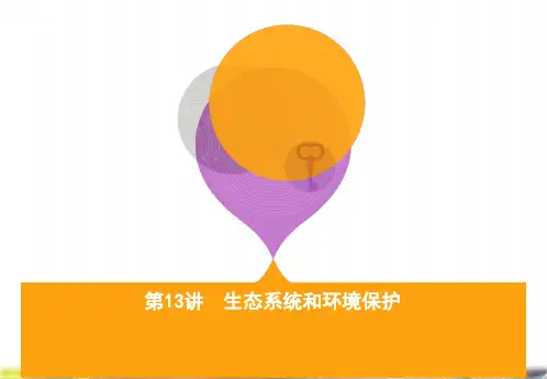 2020届高三生物第二轮复习课件：第13讲 生态系统和环境保护
