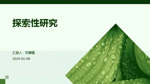 探索性研究