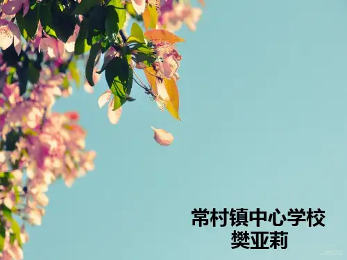 中华书局版-历史-八年级下-第14课 外交成就 课件(48页)