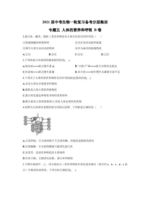 2021届中考生物一轮复习备考分层集训 专题五 人体的营养和呼吸 B卷 