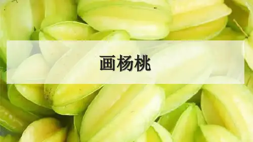 画杨桃_PPT优秀课件