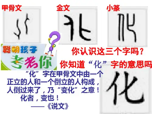 2.3城市化(第一课时)ppt