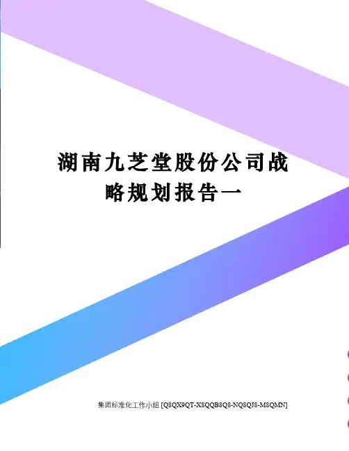 湖南九芝堂股份公司战略规划报告一修订稿