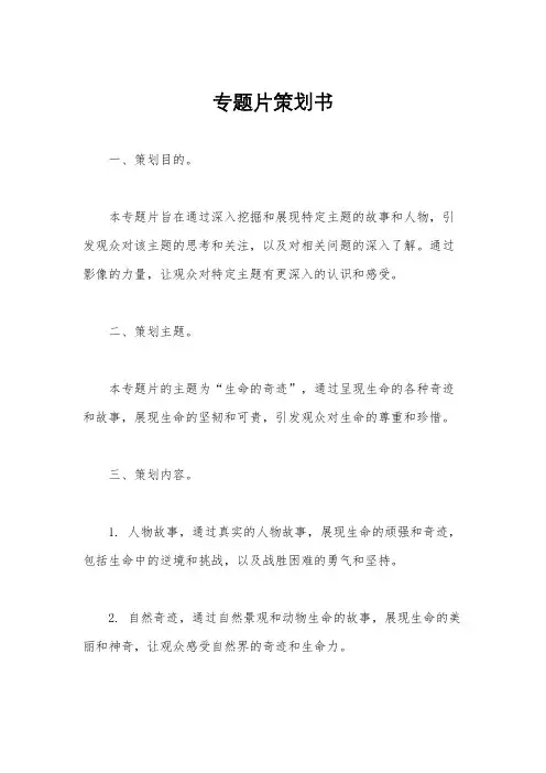 专题片策划书