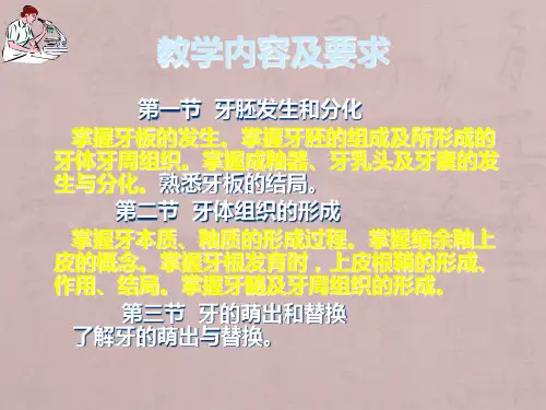 第七章牙的发育