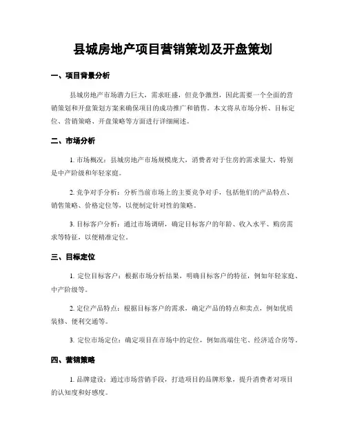 县城房地产项目营销策划及开盘策划