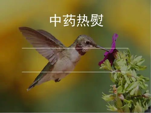 中药热熨 ppt课件