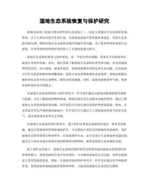 湿地生态系统恢复与保护研究