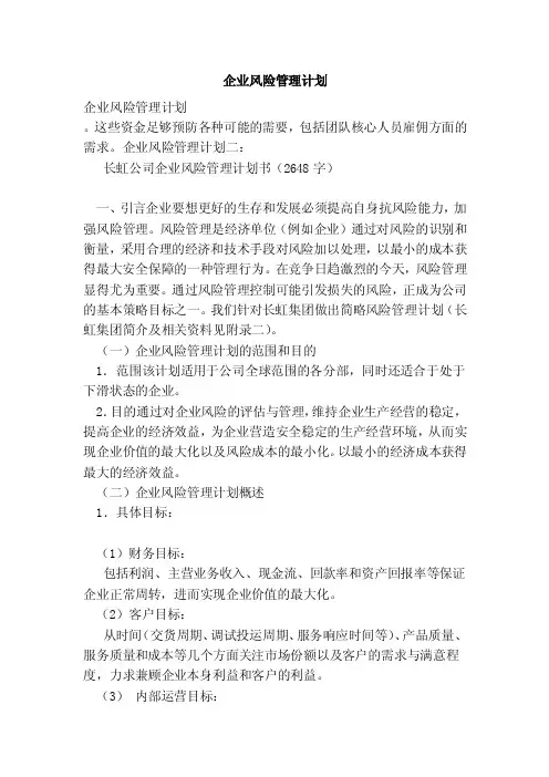 企业风险管理计划（范本）