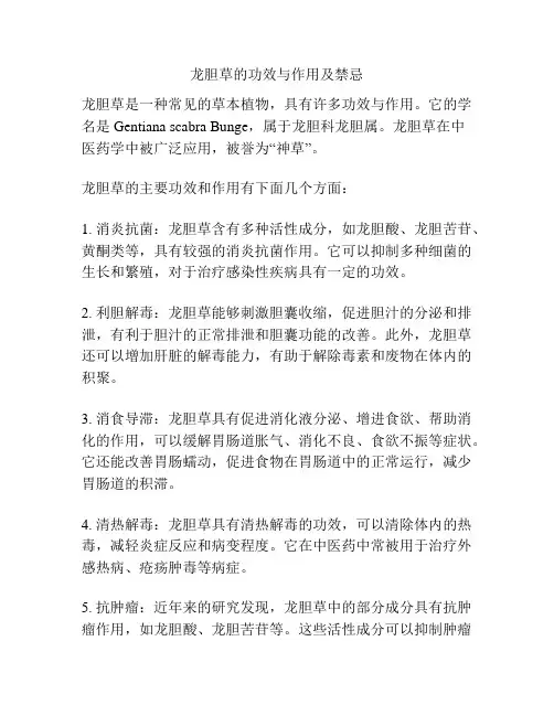 龙胆草的功效与作用及禁忌