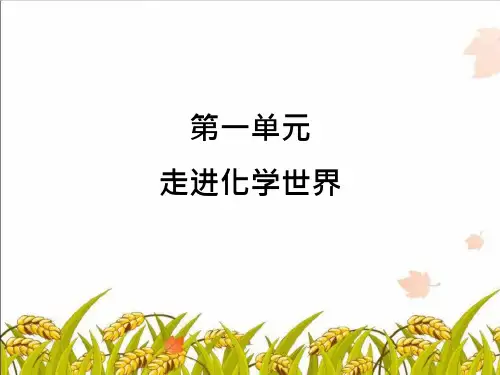 人教版化学 九年级上册 《走进化学世界》名师课件