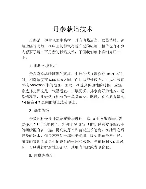 丹参栽培技术