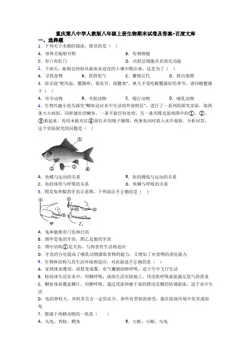 重庆第八中学人教版八年级上册生物期末试卷及答案-百度文库
