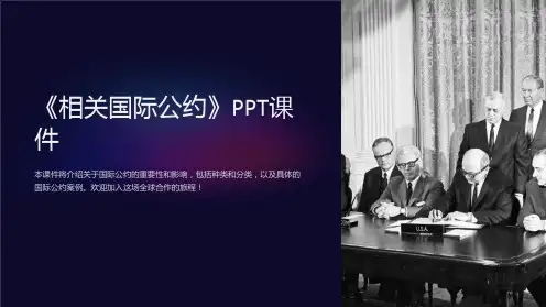 《相关国际公约》课件