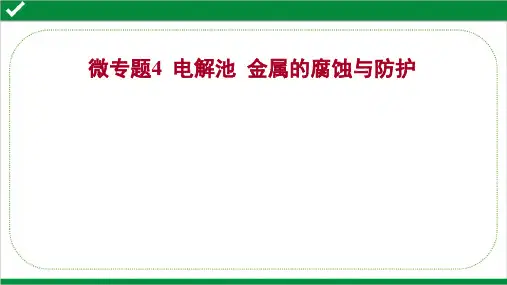 2022年高考化学二轮复习第一篇  专题7  微专题4  电解池  金属的腐蚀与防护